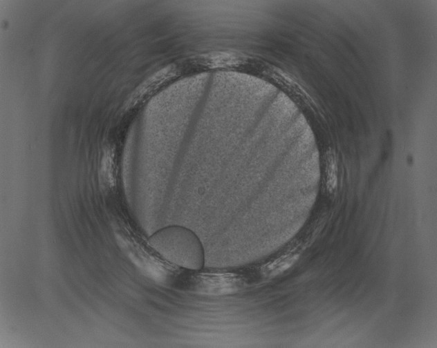 X0000081390316200702020302