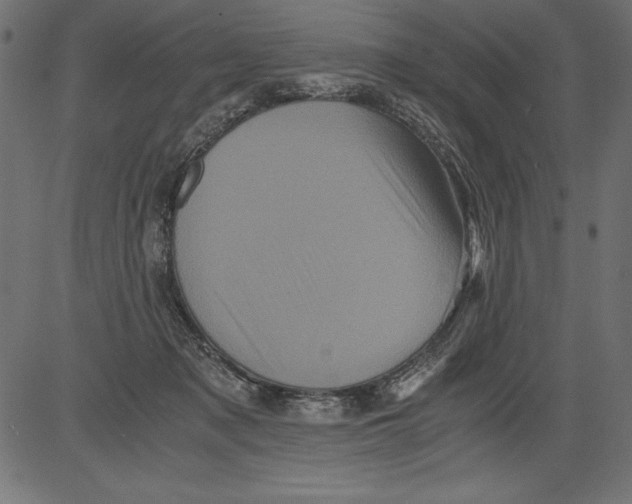 X0000081390317200702020302