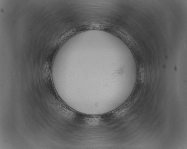 X0000081390318200702020302