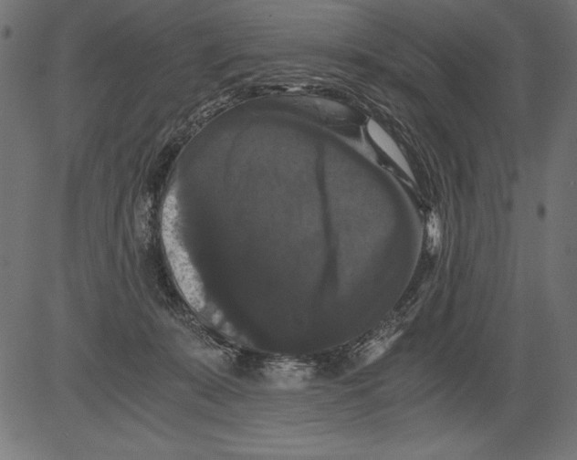 X0000081390319200702020302