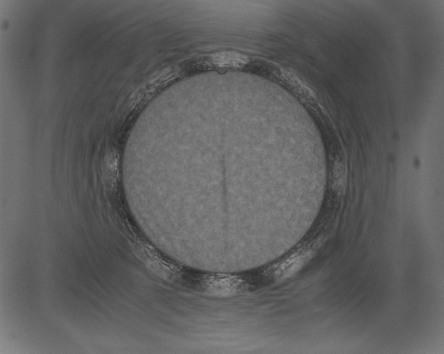 X0000081390321200702020302