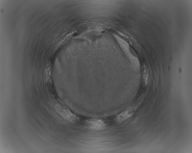 X0000081390322200702020302