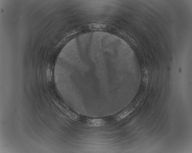 X0000081390324200702020302