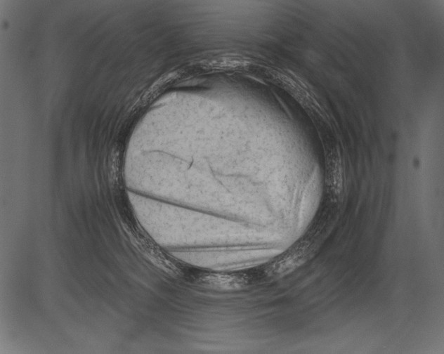 X0000081390326200702020302