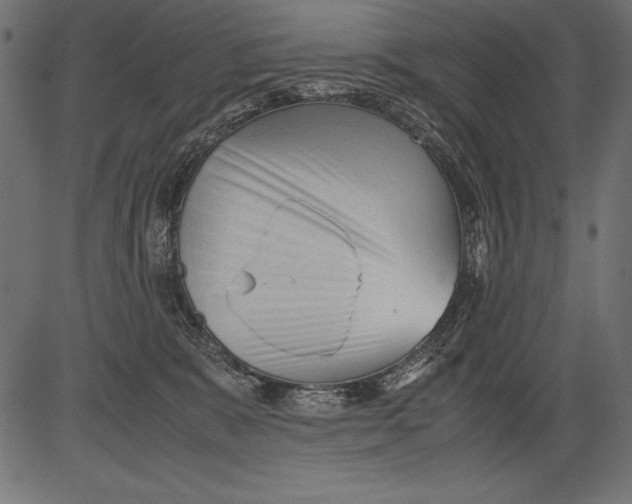 X0000081390327200702020302