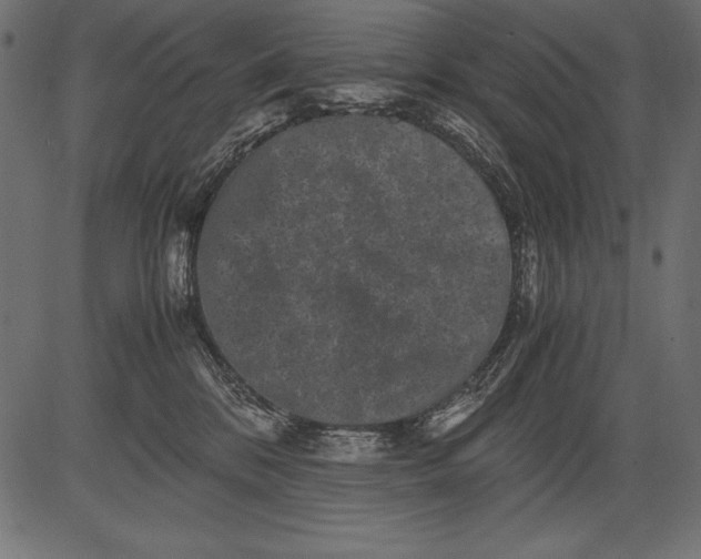 X0000081390328200702020301