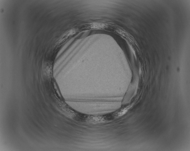 X0000081390329200702020301