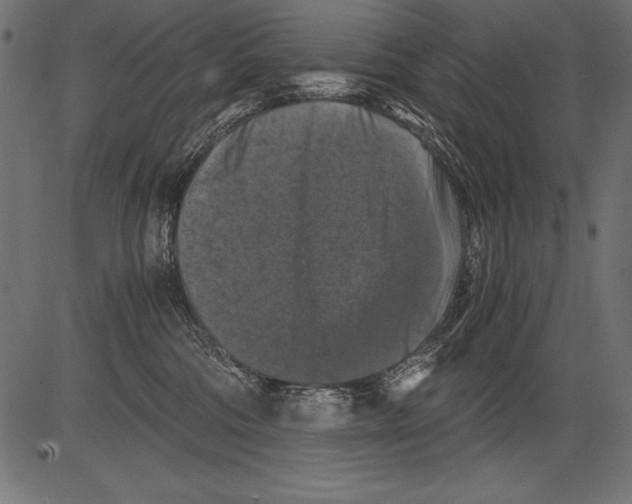 X0000081390330200702020301