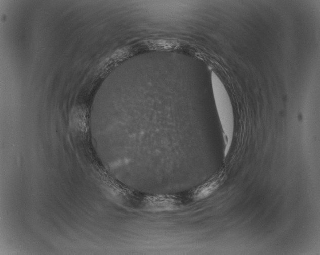 X0000081390331200702020301