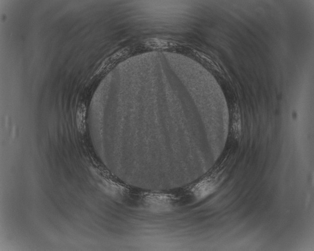 X0000081390332200702020301