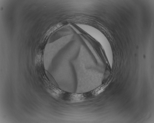 X0000081390333200702020301