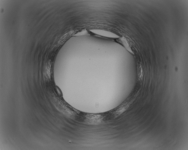 X0000081390334200702020301