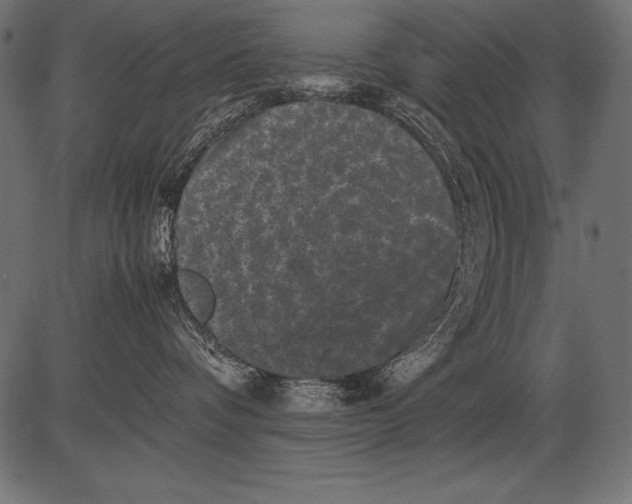 X0000081390336200702020301