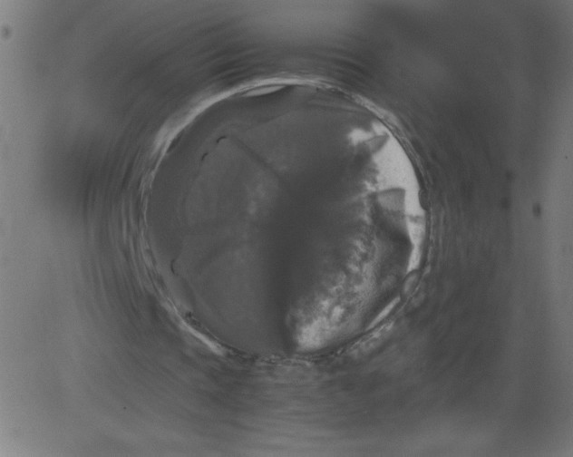 X0000081390337200702020301