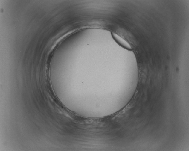 X0000081390338200702020301