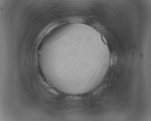 X0000081390339200702020301