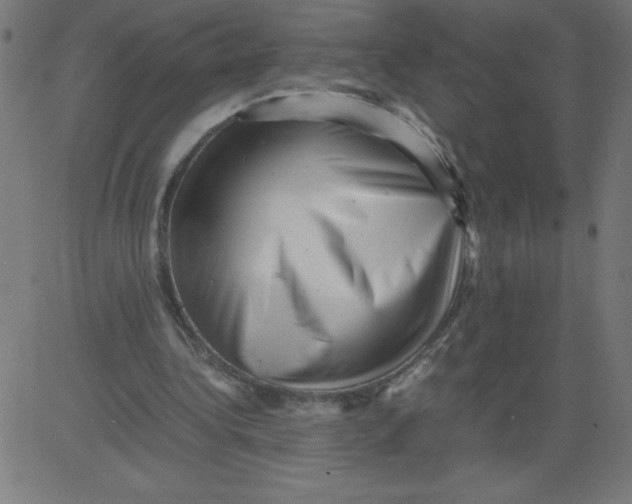 X0000081390340200702020301