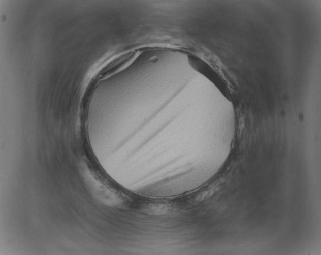 X0000081390344200702020301