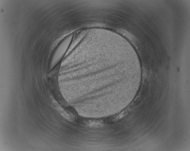 X0000081390345200702020301