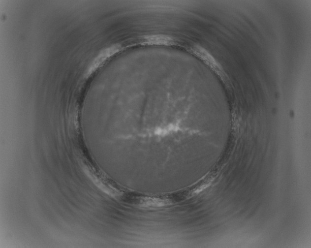 X0000081390347200702020301