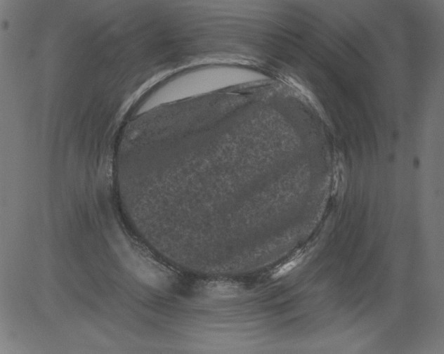 X0000081390348200702020301