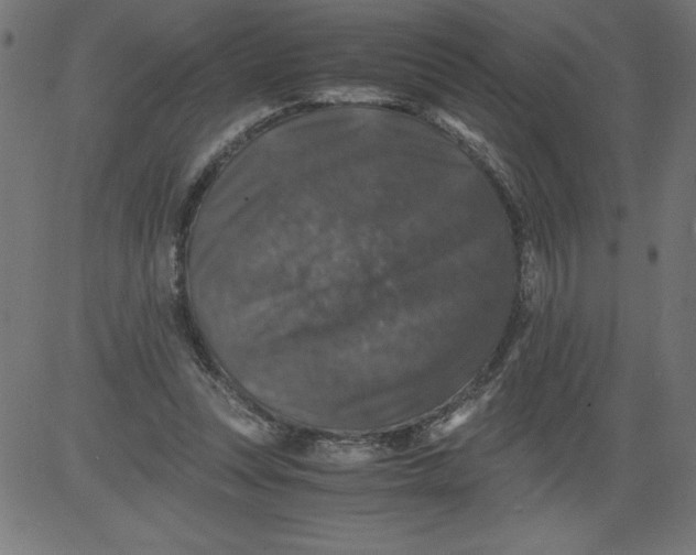 X0000081390351200702020301