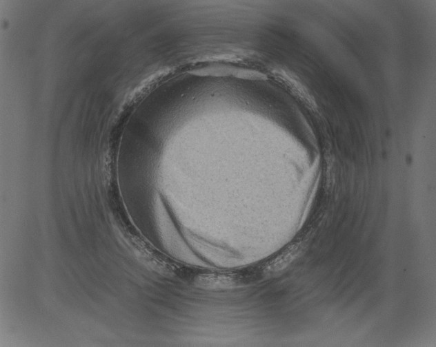 X0000081390354200702020301