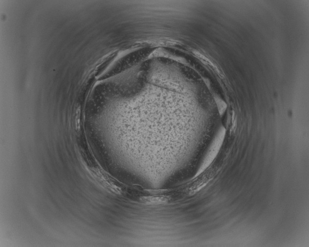 X0000081390356200702020301