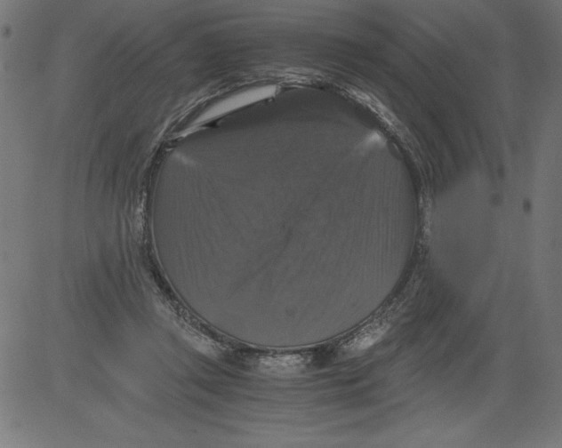 X0000081390357200702020301