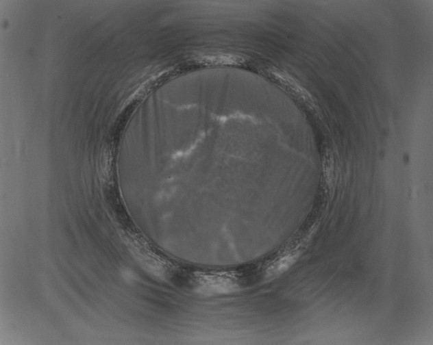 X0000081390359200702020301