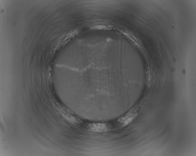 X0000081390361200702020301