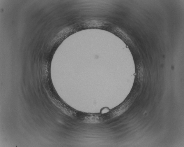 X0000081390362200702020301