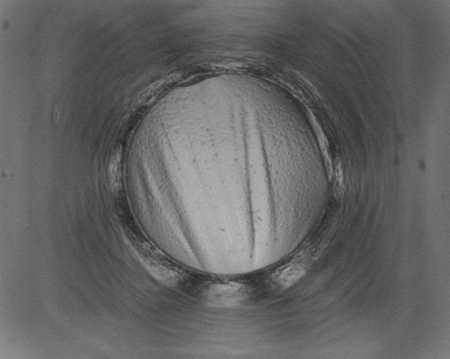 X0000081390364200702020301