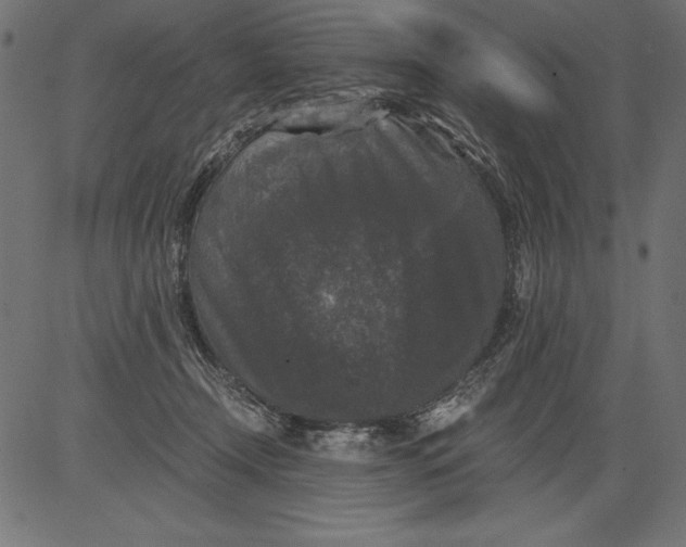 X0000081390366200702020301