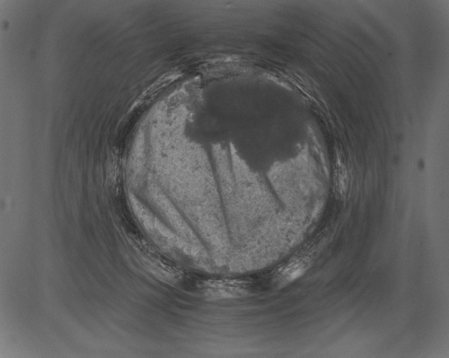 X0000081390367200702020301