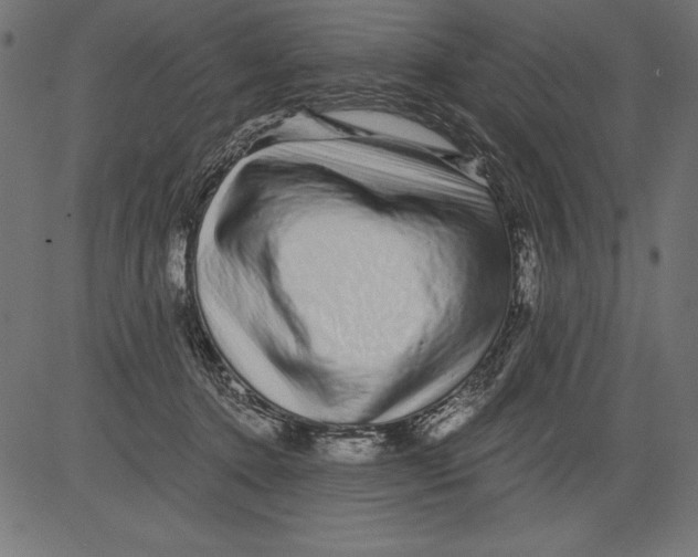 X0000081390368200702020301