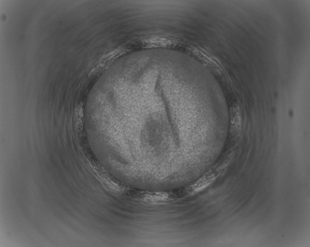 X0000081390369200702020301