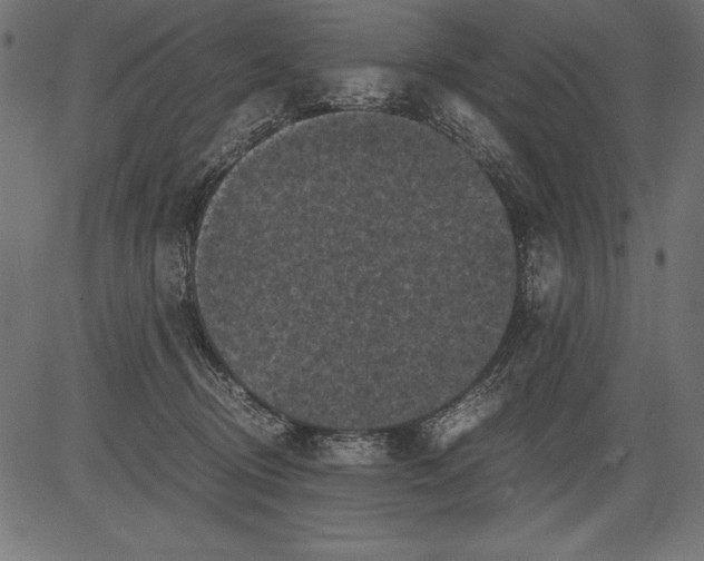 X0000081390370200702020301