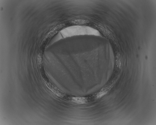 X0000081390371200702020301