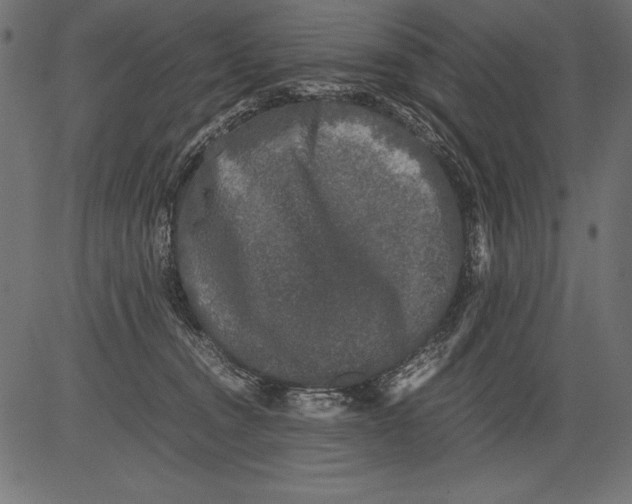 X0000081390372200702020301