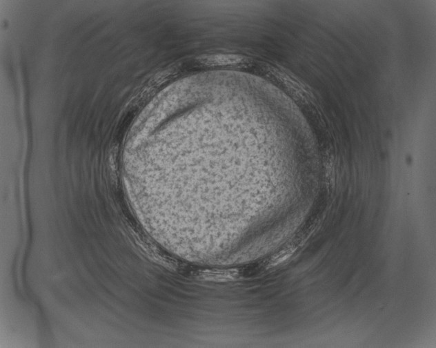 X0000081390373200702020301