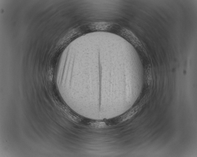 X0000081390374200702020301