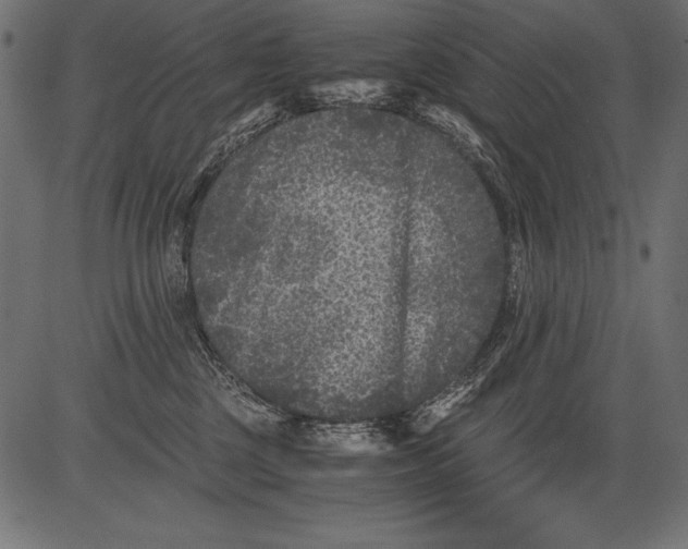 X0000081390377200702020301