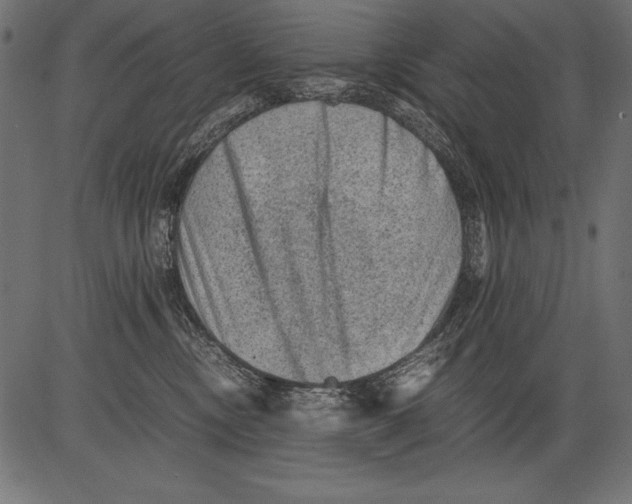 X0000081390378200702020301