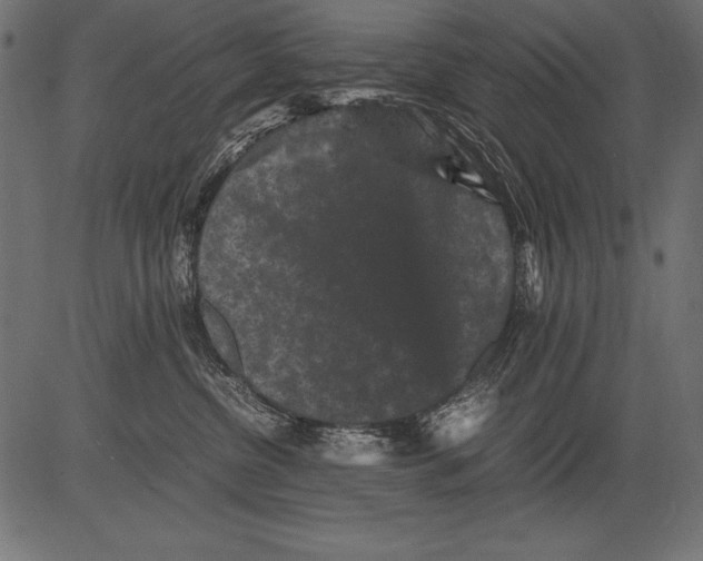 X0000081390380200702020301