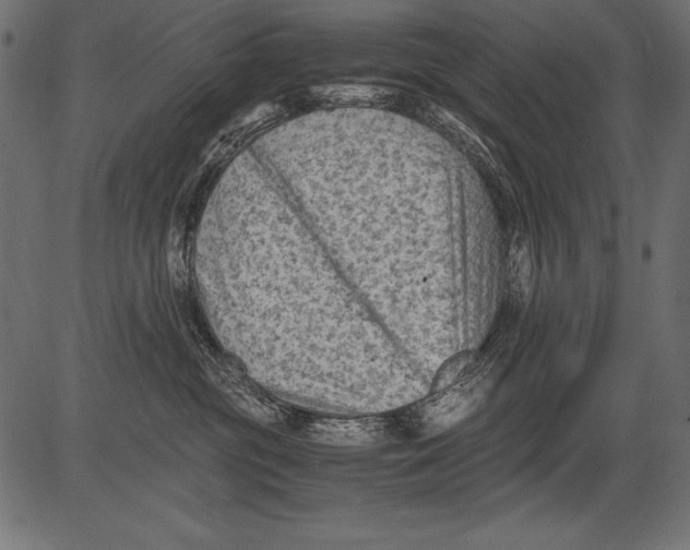 X0000081390381200702020301