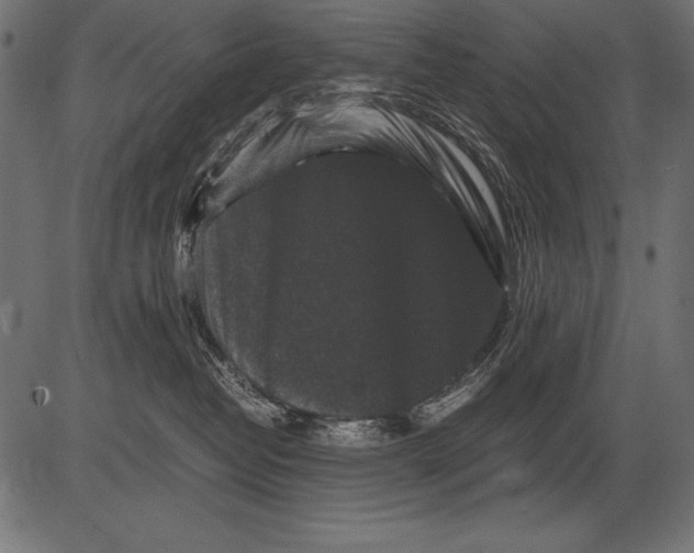 X0000081390382200702020301