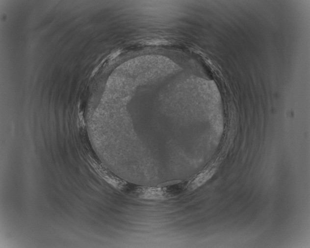 X0000081390384200702020301