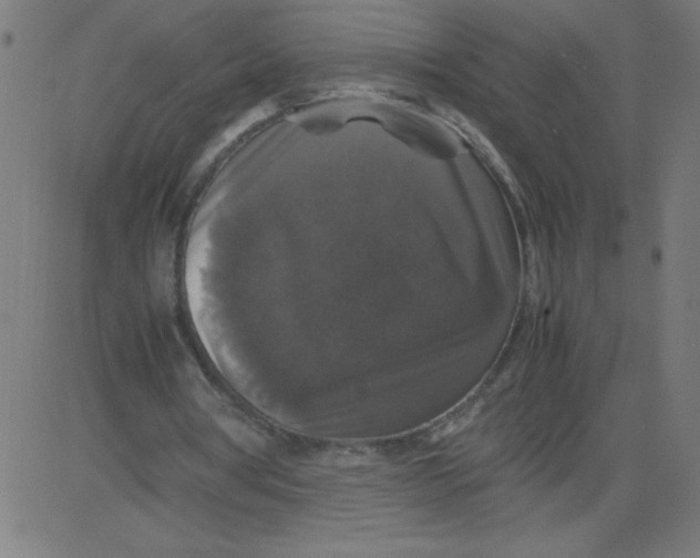 X0000081390386200702020301