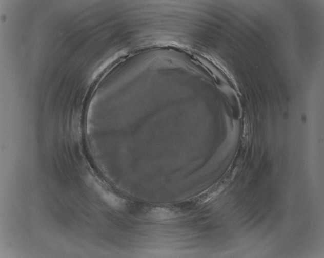 X0000081390390200702020300